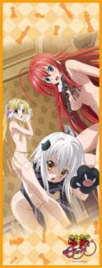 ハイスクールD×D あらいっ娘