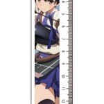 艦隊これくしょん-艦これ- クリア定規 加賀